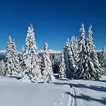 Zu-haus 3*