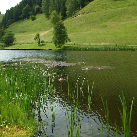 Zu-haus Affittacamere