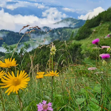 Zu-haus Affittacamere Peterdorf