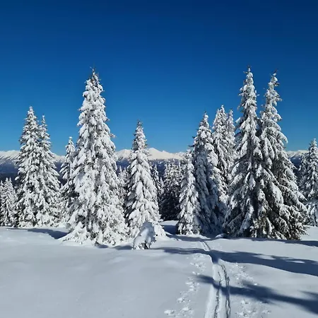 Zu-haus 3*