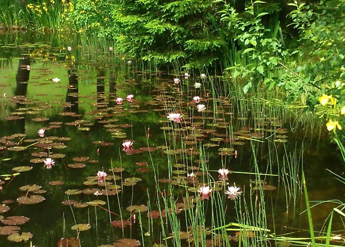 Zu-haus 招待所 3*