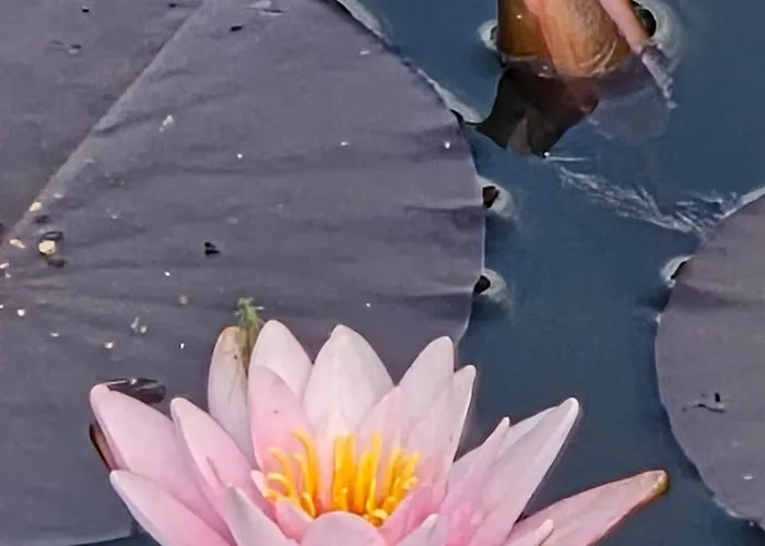 Zu-haus Affittacamere Peterdorf