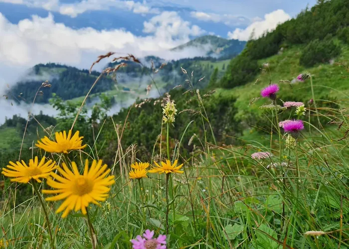 Zu-haus 招待所 Peterdorf